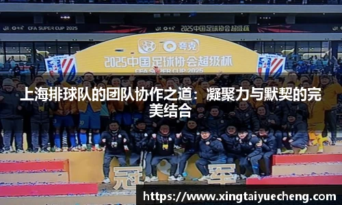 上海排球队的团队协作之道：凝聚力与默契的完美结合